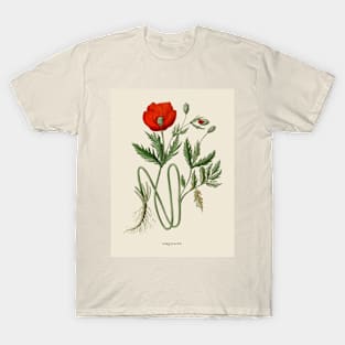 Red Poppy Antique Botanical Illustration T-Shirt